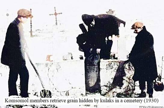 Komsomol_retrieves_kulaks' grain from a graveyard (1930)